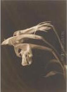 10 Flower Studies, 1990s by Bruce Crane