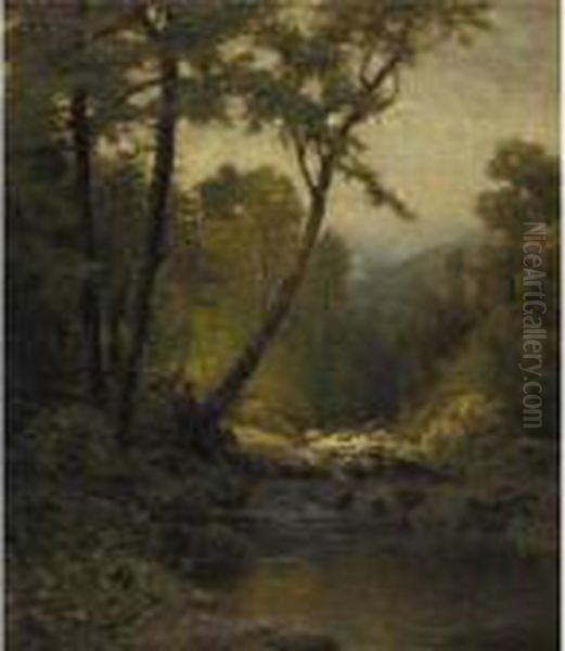 Woodland Landscape - view 1
