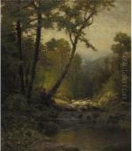 Woodland Landscape Woodland Landscape