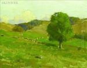 Landscape Near Newport