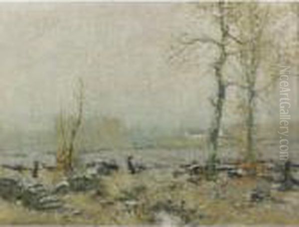 Spring Landscape - view 1