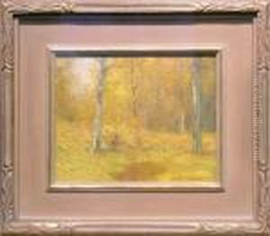Woods Of Gold Woods Of Gold