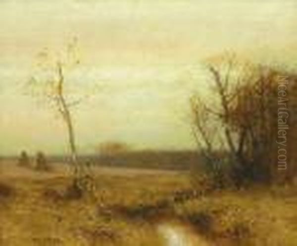 Field In Late Autumn - view 1