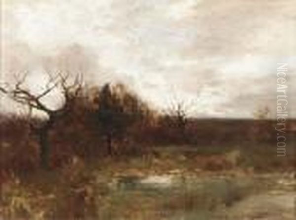 November Study - view 1