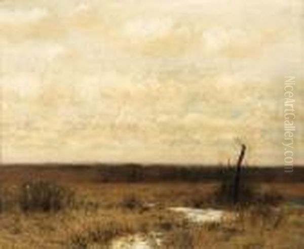 Meadow And Sky - view 1