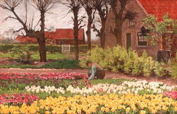 A bulb-farm - view 1