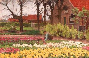 A bulb-farm