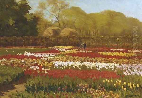 A beautiful day in a tulipfield - view 1