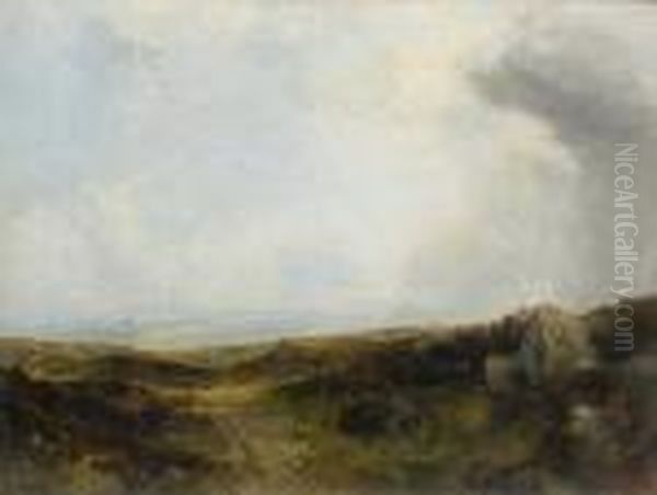 On The Yorkshire Moors - view 1