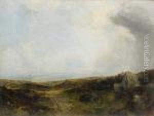 On The Yorkshire Moors