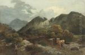 Angling With Cattle Watering Nearby Angling With Cattle Watering Nearby