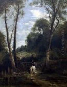 Lady In Parkland