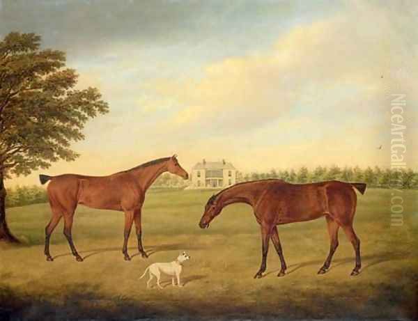 Two hunters and a dog in the grounds of Boulston House, near Haverfordwest, Pembrokeshire - view 1
