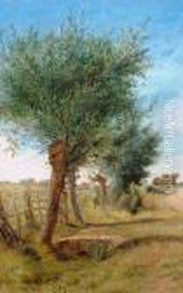 Trees By A Gate - view 1