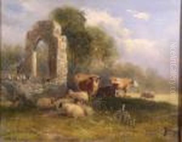 Cattle And Sheep In A Sunlit Meadow - view 1