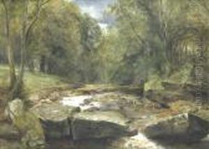 A Woodlandstream A Woodlandstream