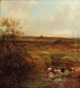 Cattle Watering In An Extensive Landscape