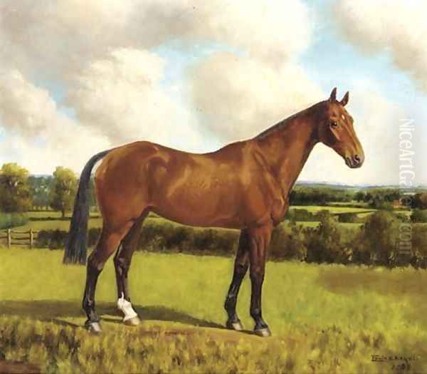 Cracker a chestnut hunter in a paddock; and Belinda a brown hunter in a paddock - view 1