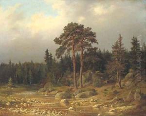 Riverside forest Riverside forest