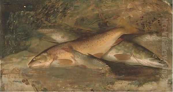 Rainbow trout, pike and perch - view 1