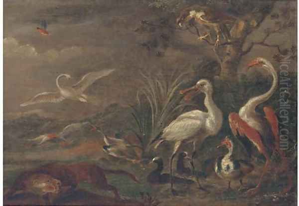 A fox chasing birds in a landscape - view 1