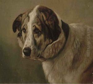 A St. Bernard by Friedrich Wilhelm Keyl