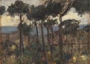 Paesaggio by Luigi Crisconio
