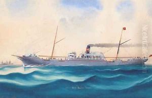 S.S. Italian Prince at sea by C. Kensington