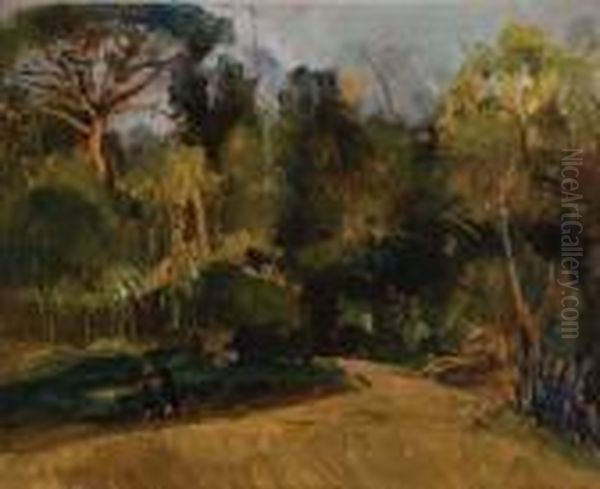 Stradina Di Campagna - view 1