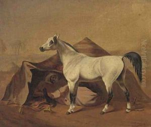An Arab stallion tethered before a bedouin tent by Franz Kruger