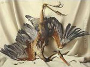 Natura Morta Con Airone