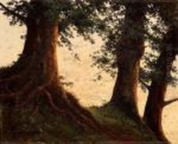 Paesaggio Con Alberi - view 1