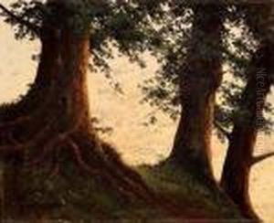 Paesaggio Con Alberi by Bruno Croatto