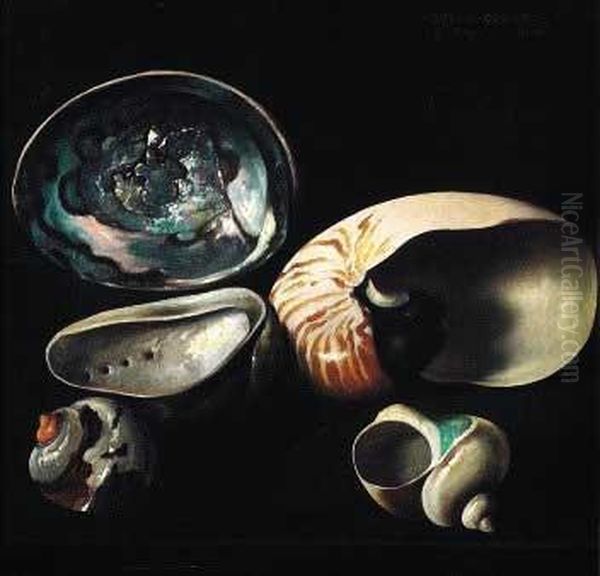 "conchiglie" 1931 - view 1