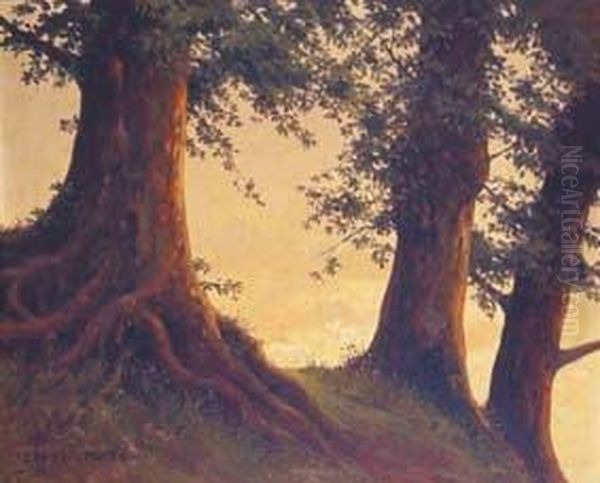 Alberi. - view 1