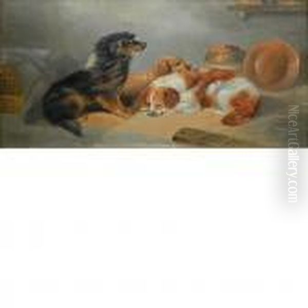 St. Bernard - view 1