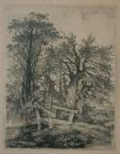 Footbridge At Cringleford