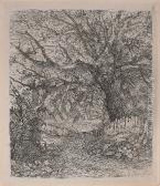Wooded Landscape - view 1