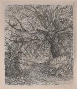 Wooded Landscape Wooded Landscape
