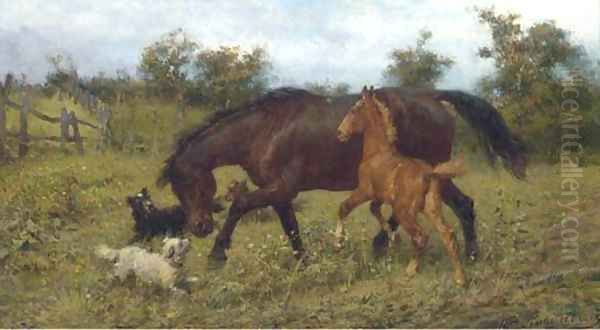 Frolicking in the meadow - view 1