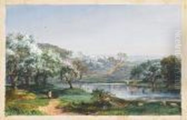 Spring, Chenango - view 1