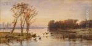 On The Lake On The Lake