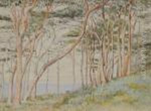 Paysage Du Sud De La France by Henri Edmond Cross