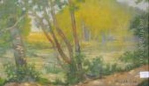 Cours D'eau En Foret by Henri Edmond Cross