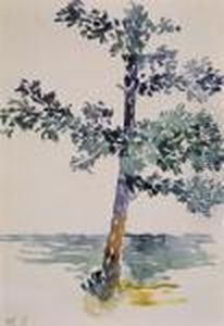 L'arbre L'arbre