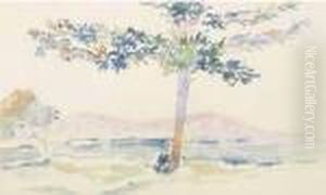 Pins Parasol En Bord De Mer. by Henri Edmond Cross