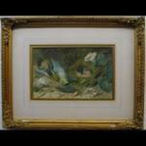 Still Life Studies (dead Birds By Nests) by William Cruickshank