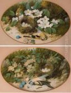 Birds Nest And Dead Birds On A Bank by William Cruickshank