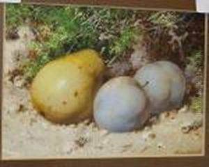 Still Life Of Plums And A Pear On A Bank
