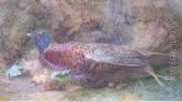 The Cock Pheasant - view 1